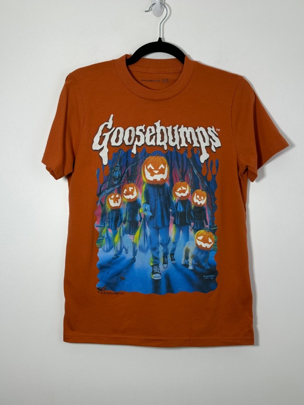 Abercrombie Kids Size 15/16 *Bundle of 2* Shirts Goosebumps & Metallica Graphics - Picture 2 of 12